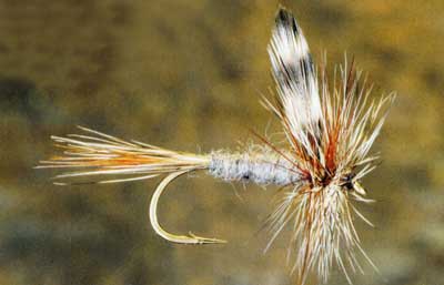 schullery_adams_400 Adams Fly