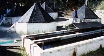 schullery_imperalist_1_350 Trout Hatchery