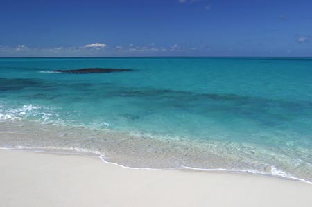 Turks and Caicos Bonefish