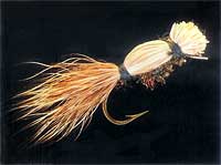 tapply_cooper Cooper Bug