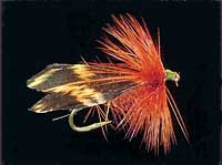 tapply_estes Estes Delta Wing Alderfly