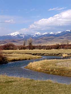 Montana Fly Fishing