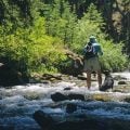 Small Streams Under Big Skies