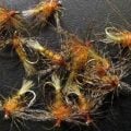 Flies: Nothing Welcomes Fall Like a Shakey