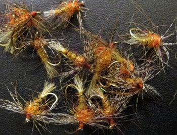 Shakey Bealy Fly Pattern Shakey Bealy Fly Pattern