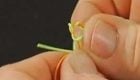How to Tie a Blood Knot