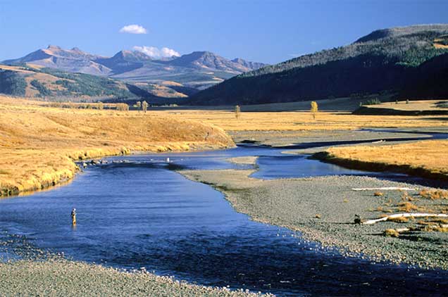 fly fishing science