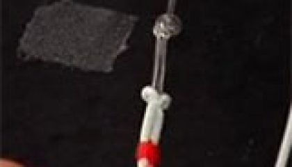 Putting a Loop in the End of Fly Line with Two Nail Knots