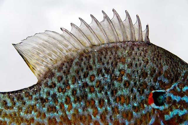 photo by Alexander Vrtaric