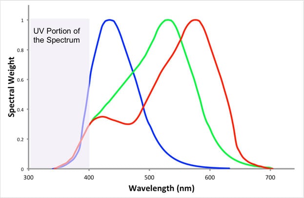 Color Perception in Trout