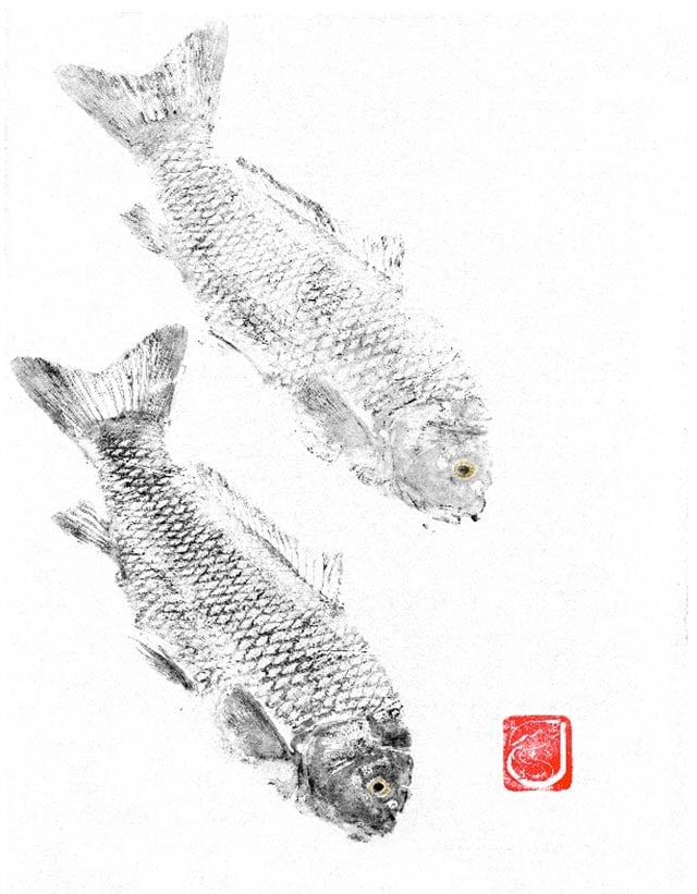 Scott Wells Art Carp