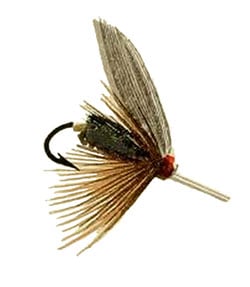 Leadwing Coachman