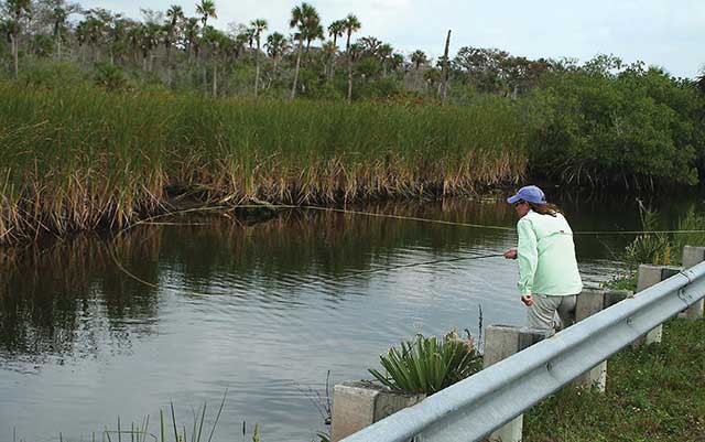 Diana Rudolph Fly Fishing Tamiami Trail