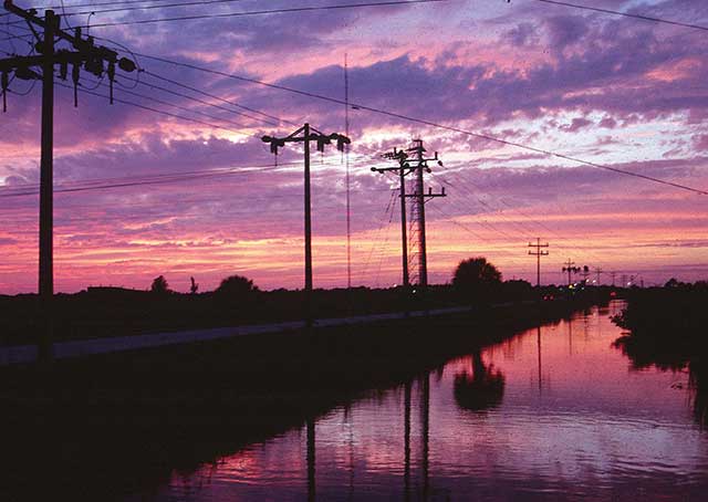 Tamiami Trail Fishing