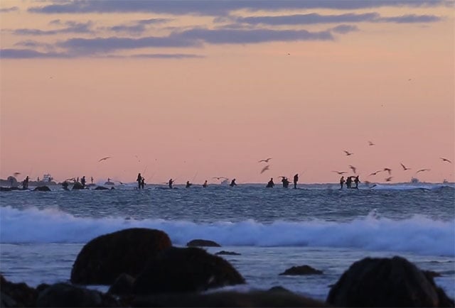 "Running the Coast" Striper Film Jamie Howard