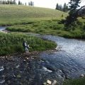 My Father's Son: Tenkara
