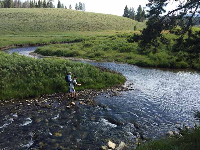 Tenkara fly fishing