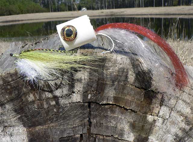 Fly Fishing for Bass