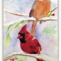"The Cardinal Is the Only Bird of Christmas"