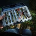 Fish Eyesight: Does Color Matter?