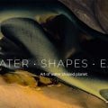 Tippets: Water Photography Project, Tips for Catch and Release