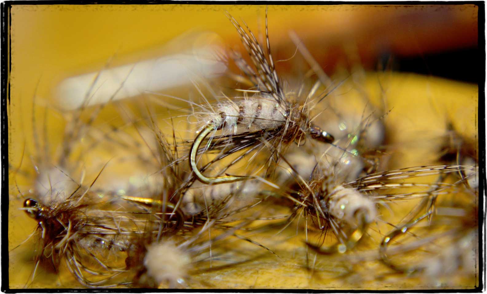 Partridge Caddis Emerger