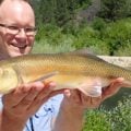 50 Fish in 50 States