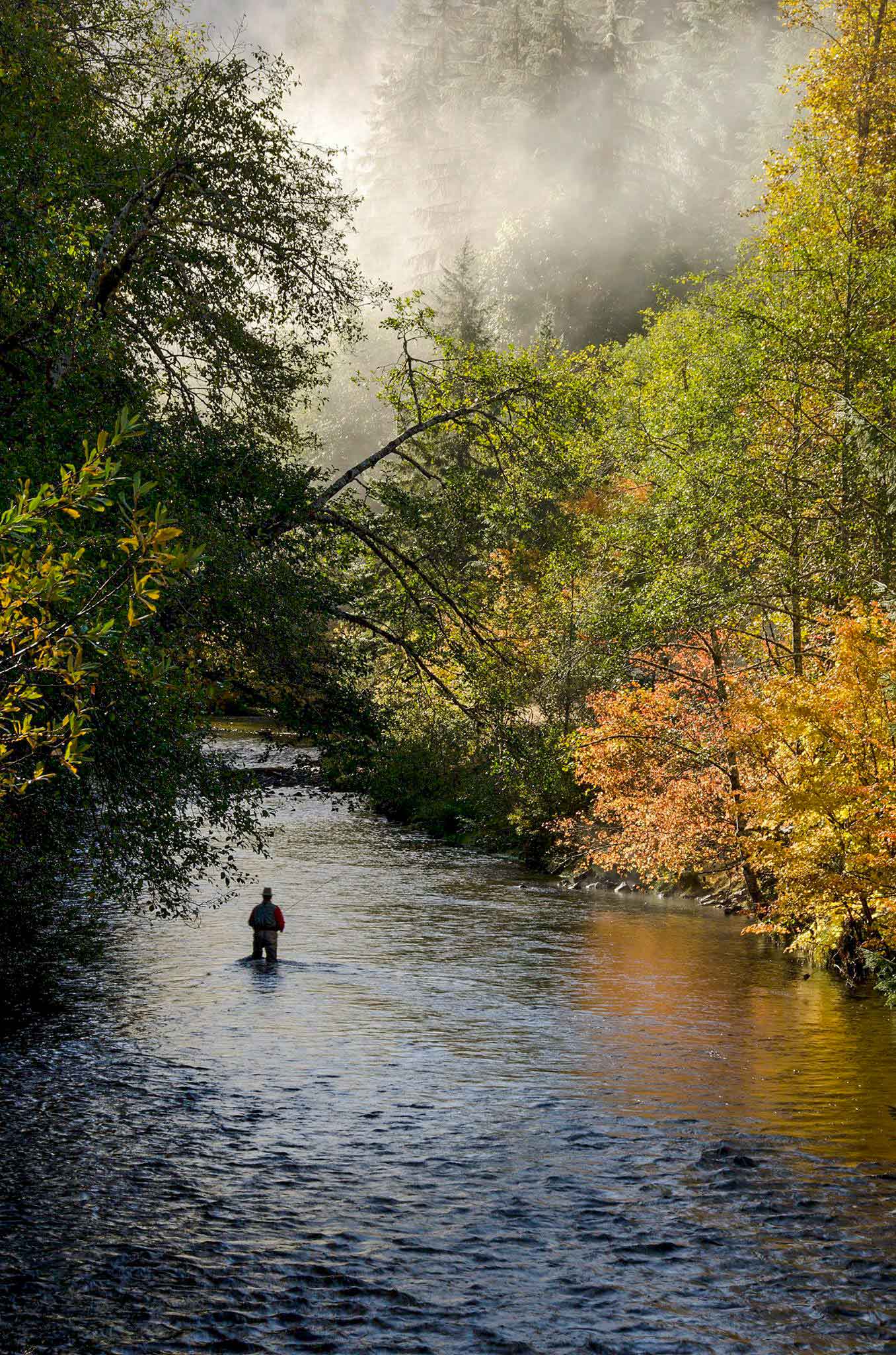 Fly Fishing in Old Age