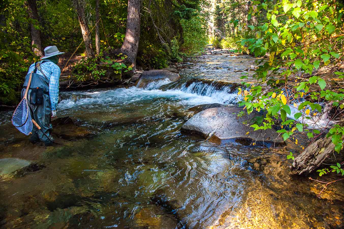 Fly Fishing Mountain Creeks
