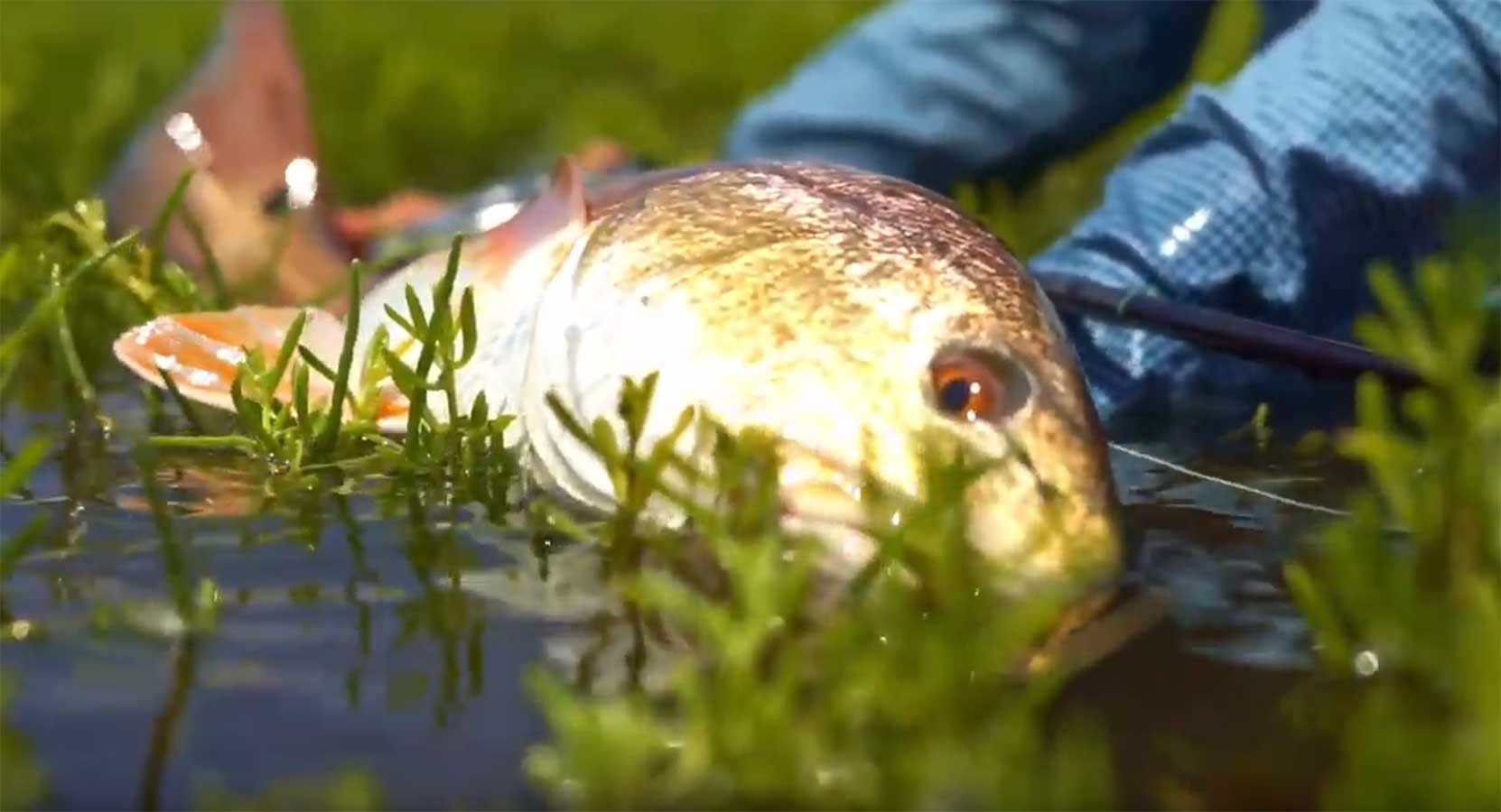 Fly Fishing Redfish Texas