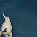 Video Hatch: “2020 Fly Fishing Film Tour Stoke Trailer”
