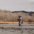 Video Hatch: “Five Flies for December 2019”