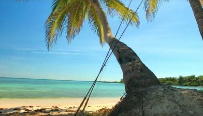 "Paradise in Mexico"