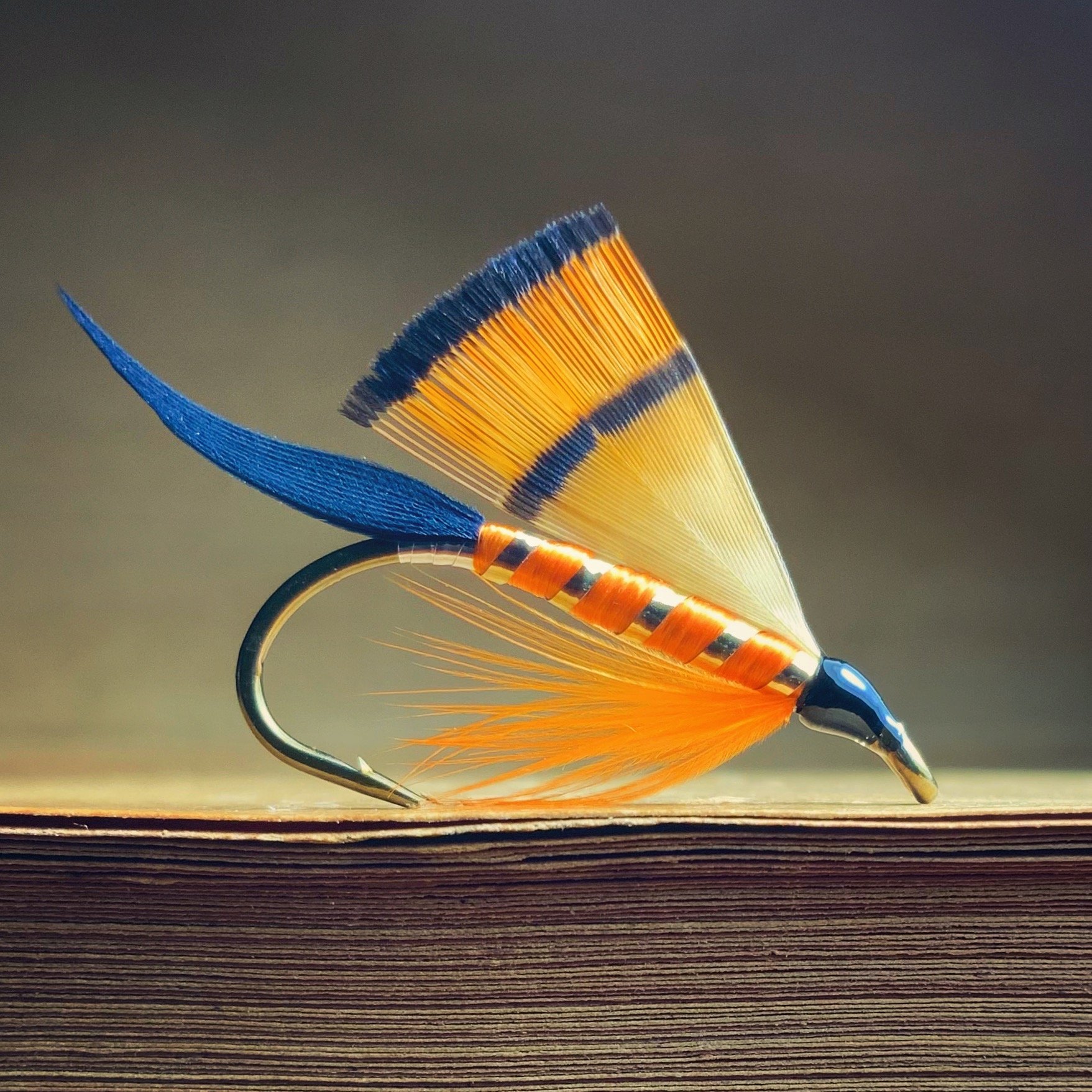 Golden Pheasant Fly