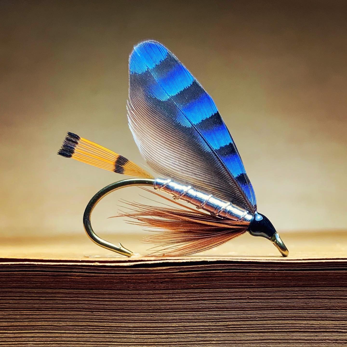 Jay Silver Fly