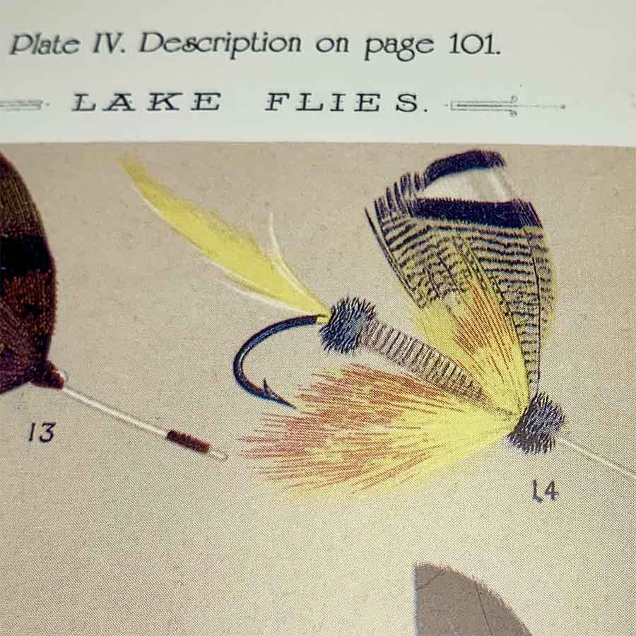 Indian Fly Fishing