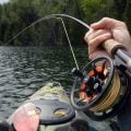 Spring Bass Wake Up Early