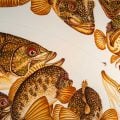 Smaller and Quieter May Be Better, Part IV: Smallmouth Bass