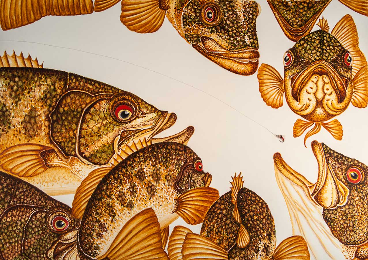 Small Flies for Smallmouth Bass