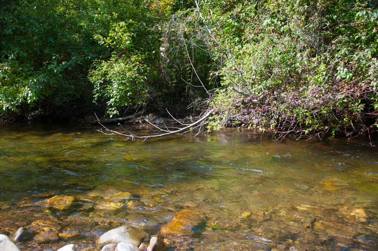 Fly Fishing