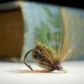A Fly Fishing Chronicle: The Coch-Y-Bonddu