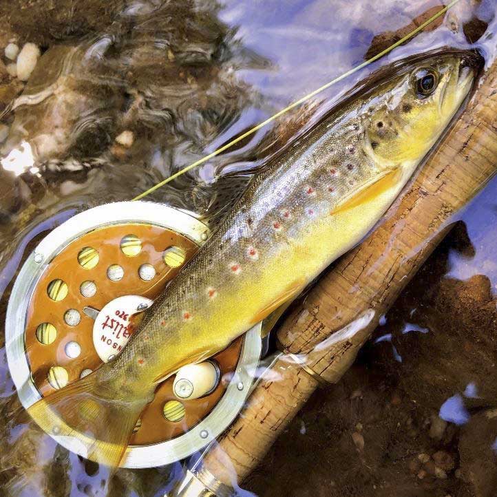 Antique Fishing Flies