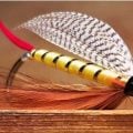 The Professor: A Fly History