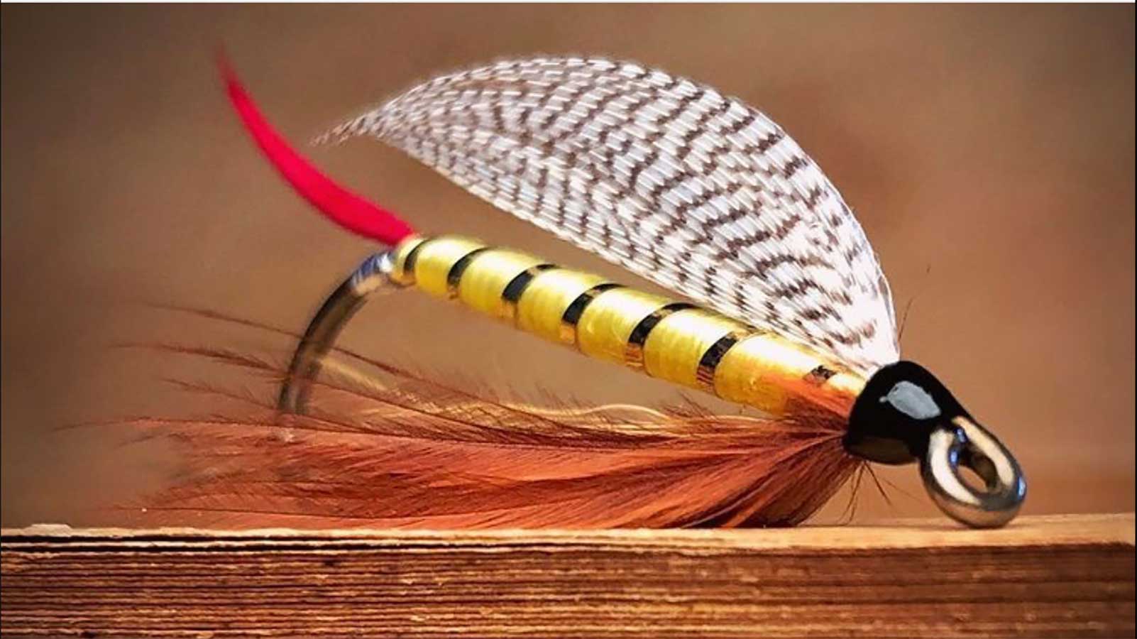 The Professor Fly Pattern