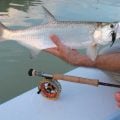 A New Look at the Six Weight in the Salt