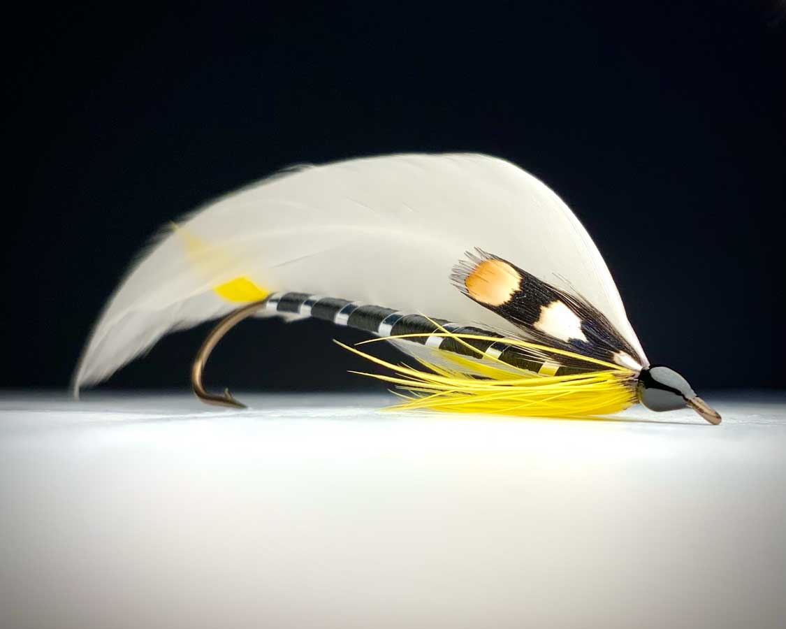 Black Ghost Fly