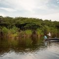 Fly Casting: How to Avoid Tailing Loops
