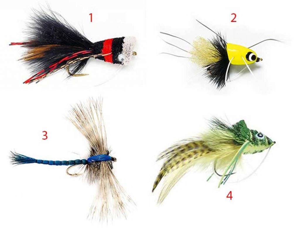Fly Fishing for Bass