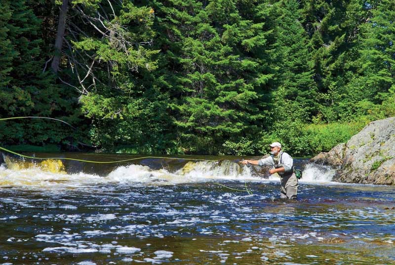 Fly Fishing