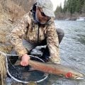 On the Brink: Oregon’s Anadromous Fish